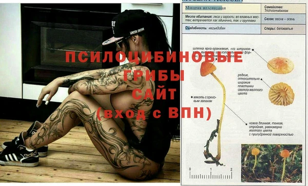 jwh Абдулино