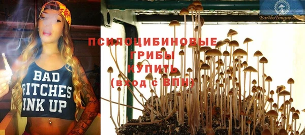 герыч Абаза