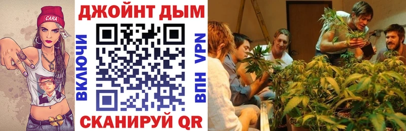 дарнет шоп  Шилка  Каннабис VHQ 